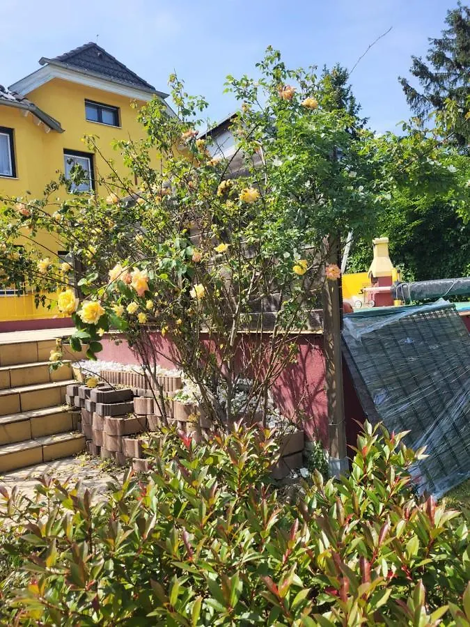 Estate Crown Sissy U3 Schoenbrunn Haustiere Вена